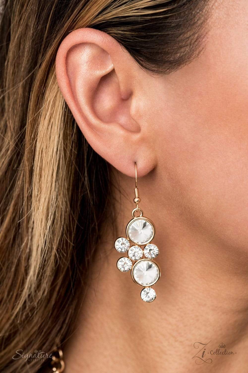 The Rosa - Paparazzi 2020 Zi Collection Necklace & matching earrings