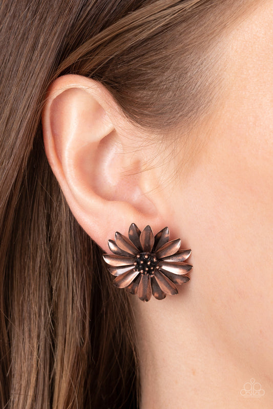 Daisy Dilemma - Copper Flower Paparazzi Post Earrings