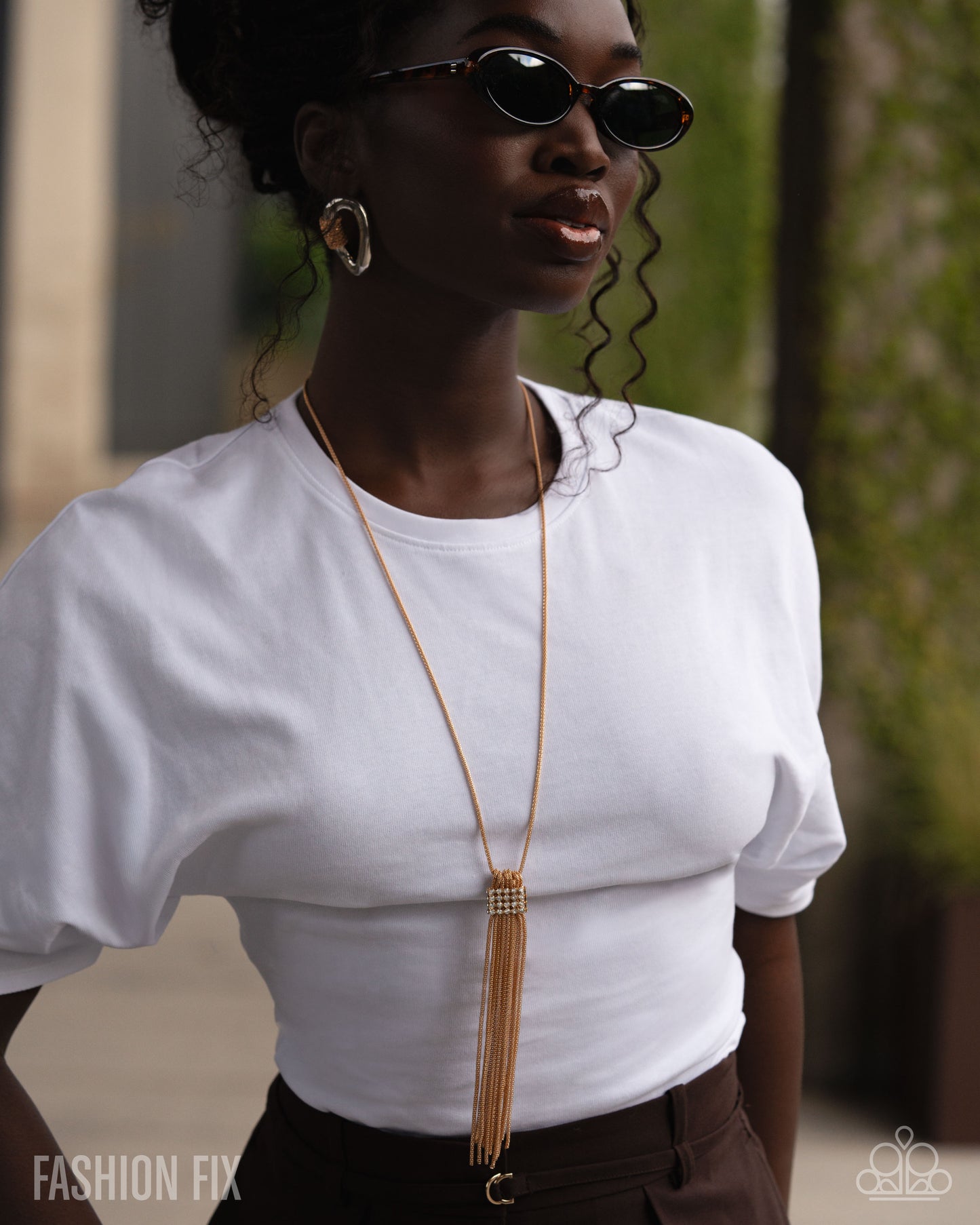 Magnificent Musings - June 2026 Paparazzi Fashion Fix Set