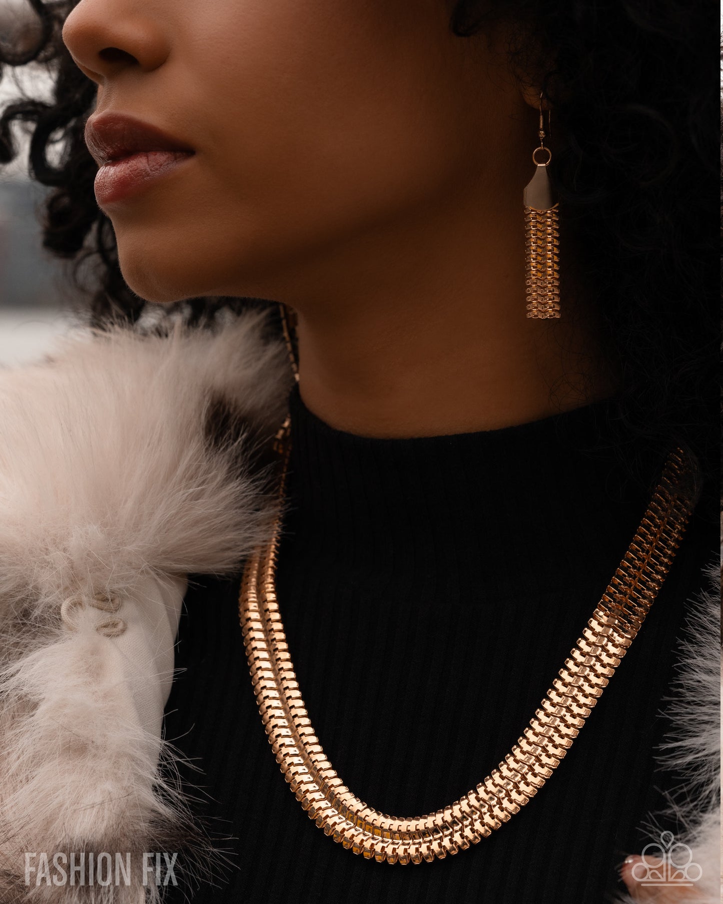 Magnificent Musings  - March 2026 Paparazzi Fashion Fix Set