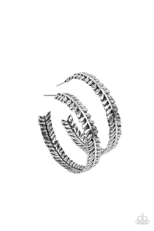 Laurel Gardens - Silver Antiqued Leafy Frame Paparazzi Hoop Post Earrings
