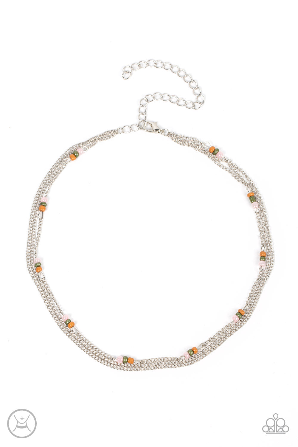 Bountifully Beaded - Multi Seed Beads/Dainty Silver Chain Paparazzi Necklace & matching earrings