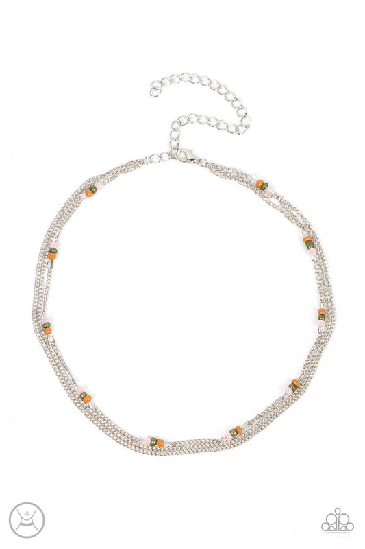 Bountifully Beaded - Multi Seed Beads/Dainty Silver Chain Paparazzi Necklace & matching earrings